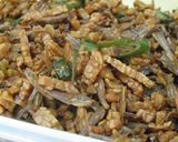 Foto langkah ke 3 dari resep KERING TEMPE CABE IJO.