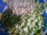 Trancam Sayur als vegetable salad with coconut shredder