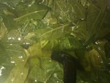 rolade daun singkong yummy