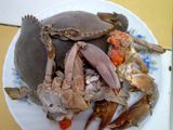 Kepiting saus tiram ala NYOKAP