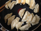 Chicken Gyoza