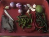 KERANG RANGAK2 HOT TAUCO