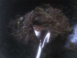 KERANG RANGAK2 HOT TAUCO