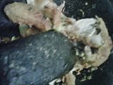 ayam geprak yahuuutt