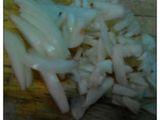 bola udang telur asin simpel