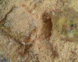 Foto langkah ke 7 dari resep Nugget Sehat Rumahan.