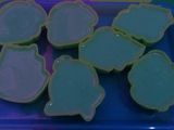 Puding Susu