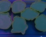 Foto langkah ke 2 dari resep Puding Susu.