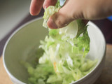 Japanese Salad