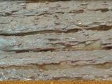 Kue Kayu