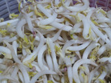 Lengko