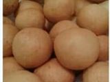 Donat mini
