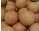 Foto langkah ke 5 dari resep Donat mini.