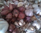 Foto langkah ke 1 dari resep oseng oseng kerang ala suami.