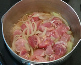 Foto langkah ke 2 dari resep Japanese Oyakodon (Rice bowl chicken and egg).