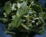 Foto langkah ke 1 dari resep Sayur Sawi with Tempe.