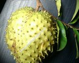 Foto langkah ke 1 dari resep Es Buah Sirsak Simpel.