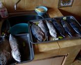 Foto langkah ke 2 dari resep ikan cakalang dabu dabu manado.