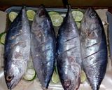 Foto langkah ke 1 dari resep ikan cakalang dabu dabu manado.