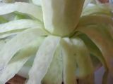 KUE ASTER