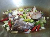 Haruan Batu'up (Ikan Gabus Tim)