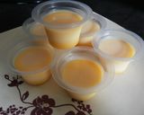 Foto langkah ke 3 dari resep Puding Milky Orange.