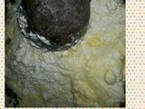 Tahu Sosis Telur (tasostel)