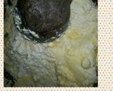 Foto langkah ke 2 dari resep Tahu Sosis Telur (tasostel).