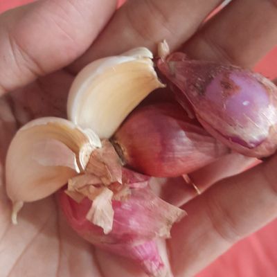 Langkah 1
