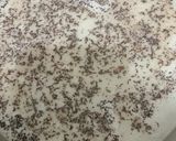 A picture of step 2 of Simple Tea.