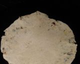 A picture of step 4 of Ghobhi ka paratha.