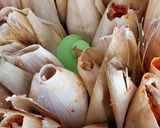 Foto del paso 4 de la receta: Tamales rojos en hoja de maíz