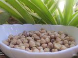 زرير شاوي