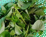 Foto langkah ke 1 dari resep Brambang asem daun ubi.