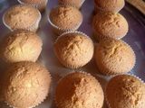 Vanilla Cupcakes
