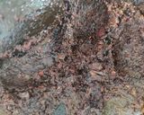 Foto langkah ke 2 dari resep Rawon daging sapi.