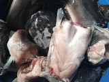 Fish sauces