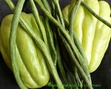 Foto langkah ke 1 dari resep SAYUR BOBOR.