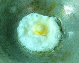 Foto langkah ke 1 dari resep Egglicious (ceplok level up).