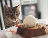 Foto del paso 6 de la receta: Torta galesa patagónica y navideña con helado de crema americana 🎄Postre especial para Navidad ✨