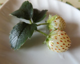Foto del paso 1 de la receta: Budín de cítricos con zanahoria