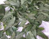 Foto del passaggio 1 della ricetta Sciroppo di menta fresca