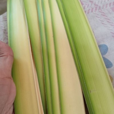 Langkah 1