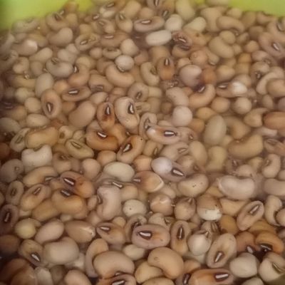 Langkah 1
