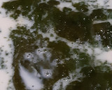Foto langkah ke 6 dari resep Cincau Fiber Creme.