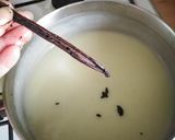 A picture of step 6 of Vickys Fresh Mint Ice Cream, GF DF EF SF NF Vegan.