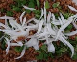 Foto del paso 2 de la receta Ensalada de lentejas