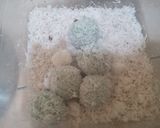 Foto langkah ke 5 dari resep Klepon.