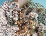 Fügés szelet! VEGÁN recept fázis 3 fotója