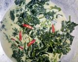 Foto langkah ke 3 dari resep Bobor daun pepaya jepang.